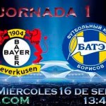 Bayer Leverkusen vs BATE Borisov