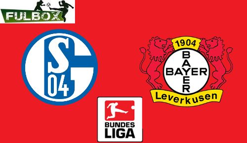 Schalke vs Bayer Leverkusen