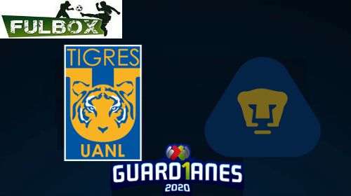 Tigres vs Pumas
