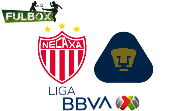 Necaxa vs Pumas