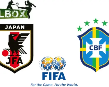 Japón vs Brasil