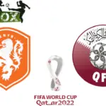 Países Bajos vs Qatar